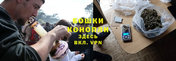 сатива Бугульма