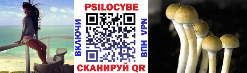 Галлюциногенные грибы прущие грибы  где купить наркотик  darknet формула  Ижевск 